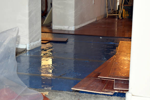 Professional Flood Damage Restoration technician working in Canyon, CA